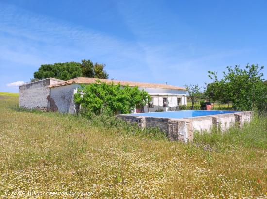  TERRENO EN CIUDAD REAL CARRETERA DE TOLED0 LA ATALAYA - CIUDAD REAL 