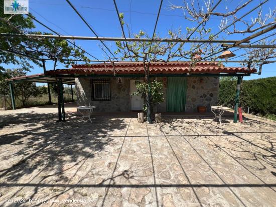  SE VENDE PARCELA ZONA CAMPOALEGRE ( URBANO ) - ALBACETE 