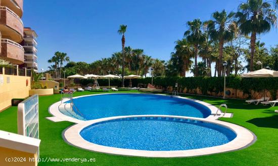 Apartamento en Alquiler en Marina D´or /Oropesa del Mar - CASTELLON