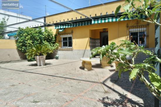 CASA INDEPENDIENTE DE UNA SOLA PLANTA CON MAS DE 70 METROS DE PATIO - CADIZ