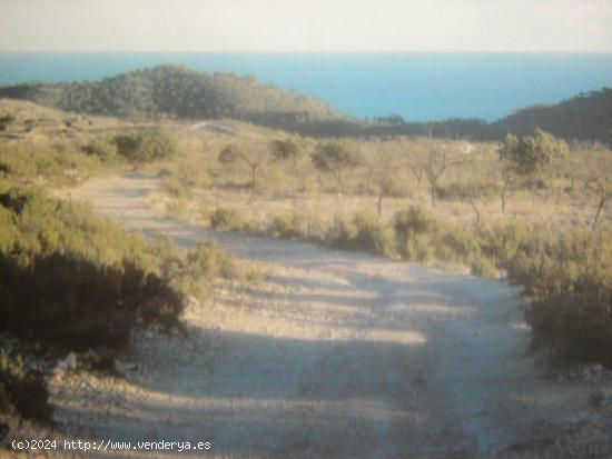 Parcela Rustica en Relleu con vistas panoramicas al mar - ALICANTE