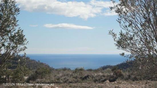 Parcela Rustica en Relleu con vistas panoramicas al mar - ALICANTE