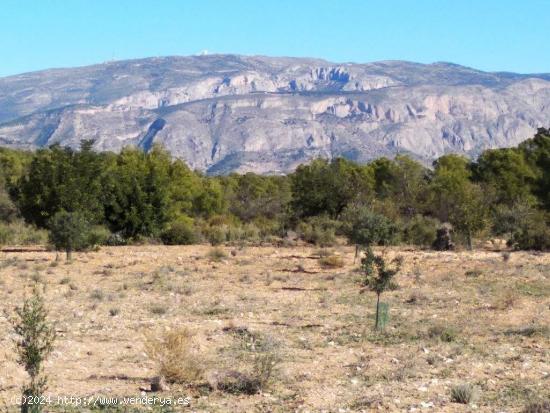 Parcela Rustica en Relleu con vistas panoramicas al mar - ALICANTE