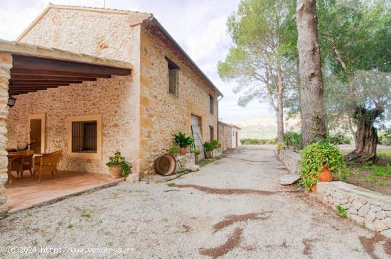  Excepcional finca tradicional española con 100.000m2 de terreno - ALICANTE 