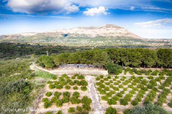 Excepcional finca tradicional española con 100.000m2 de terreno - ALICANTE