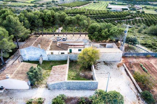 Excepcional finca tradicional española con 100.000m2 de terreno - ALICANTE