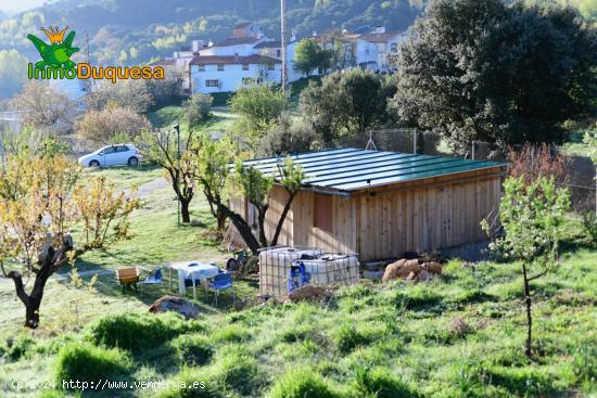 FINCA  EN TOCON DE QUENTAR DONDE PONER TU CASA DE MADERA Y VIVIR EN PLENA NATURALEZA - GRANADA