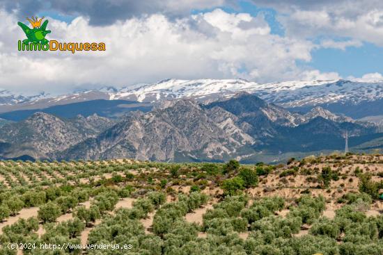 Estupenda parcela en el Campo de Golf  Sana Clara en Otura - GRANADA