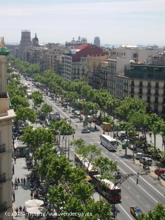 🌆 ¡OFICINA EN ALQUILER EN EL EMBLEMÁTICO PASSEIG DE GRÀCIA , BARCELONA ! 🌆 - BARCELONA