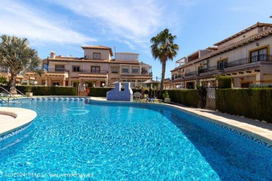 BUNGALOW DE 2 DORMITORIOS 1 BAÑO EN PLAYA FLAMENCA ( ORIHUELA COSTA) - ALICANTE