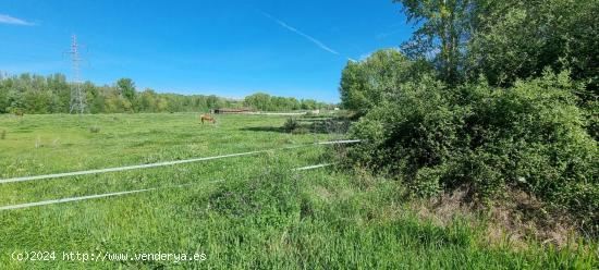  Se Vende en Fuente el Saz de Jarama - MADRID 