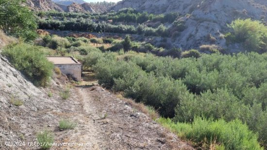  Suelo rústico en Venta en Canjayar Almería 