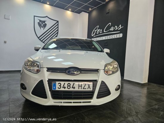 Ford Focus 1.6 TDCi Edition 115cv - Oliva