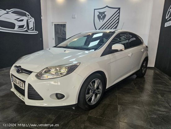 Ford Focus 1.6 TDCi Edition 115cv - Oliva