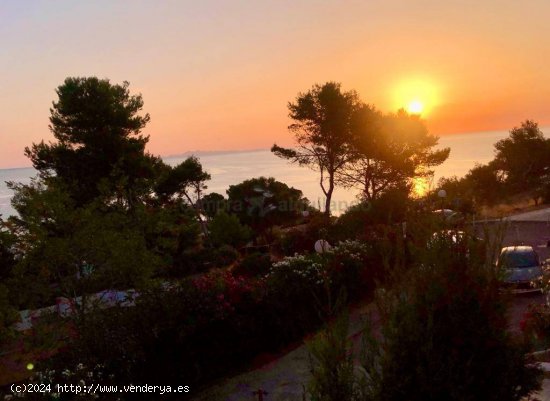 ALQUILER DE TEMPORADA EN CALA SAN VICENTE, APARTAMENTO DE 1 HABITACIÓN CON VISTAS AL MAR