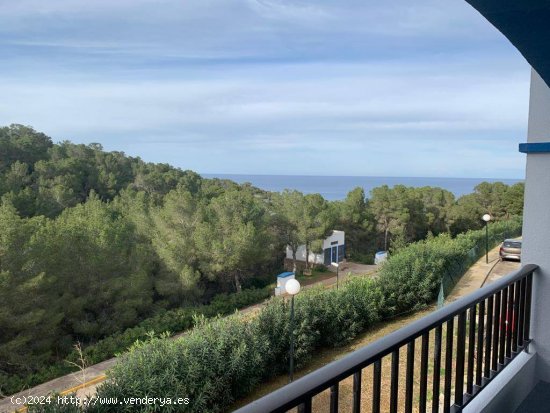 ALQUILER DE TEMPORADA EN CALA SAN VICENTE, APARTAMENTO DE 1 HABITACIÓN CON VISTAS AL MAR