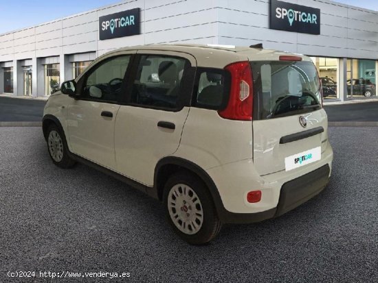 Fiat Panda 1.0 MHEV 5P - Alicante