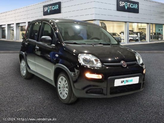 Fiat Panda 1.0 MHEV 5P - Alicante