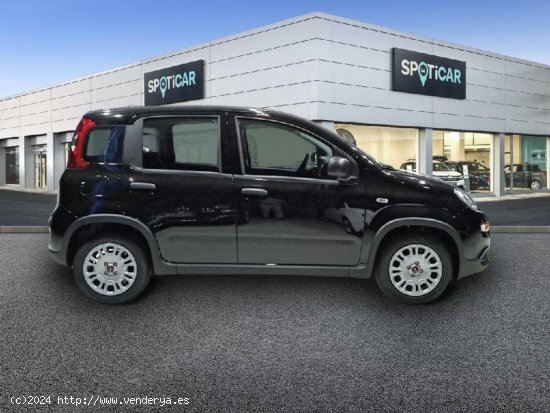 Fiat Panda 1.0 MHEV 5P - Alicante