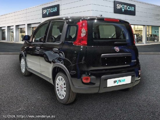 Fiat Panda 1.0 MHEV 5P - Alicante