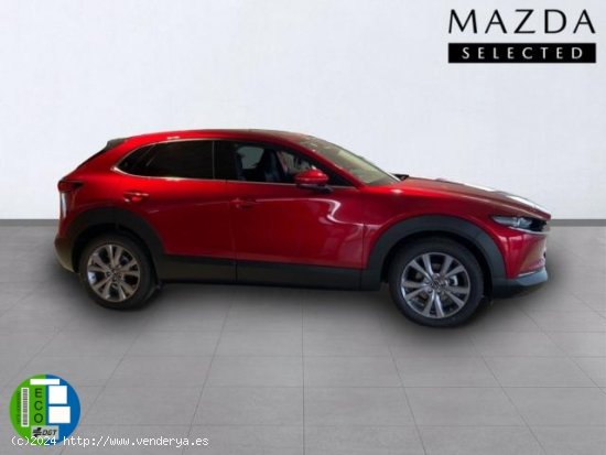 MAZDA CX-30 en venta en Teruel (Teruel) - Teruel