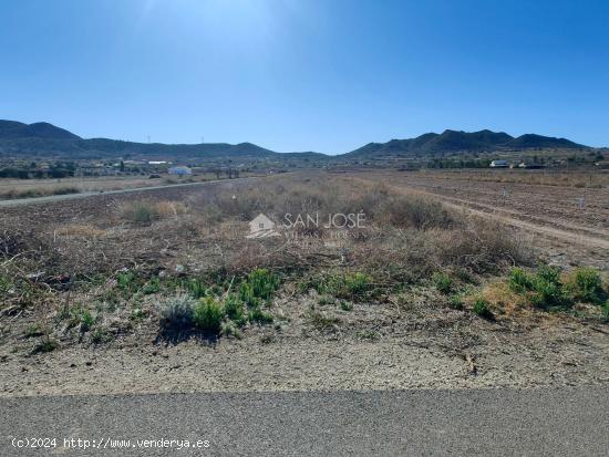  VENTA DE PARCELA RUSTICA AL LADO DEL PUEBLO EN HONDON DE LOS FRAILES - ALICANTE 