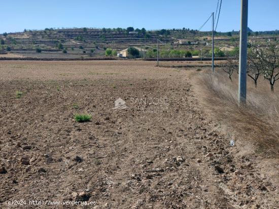 SE VENDE PARCELA EN BARBARROJA CERCA DEL PUEBLO - ALICANTE