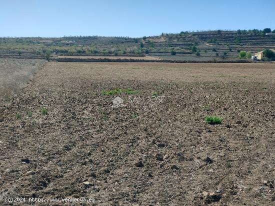 SE VENDE PARCELA EN BARBARROJA CERCA DEL PUEBLO - ALICANTE