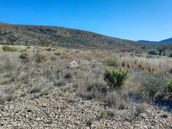 SE VENDE PARCELA EN LA SOLANA DE HONDON DE LOS FRAILES - ALICANTE