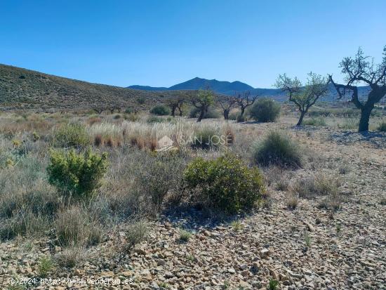 SE VENDE PARCELA EN LA SOLANA DE HONDON DE LOS FRAILES - ALICANTE