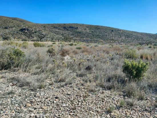 SE VENDE PARCELA EN LA SOLANA DE HONDON DE LOS FRAILES - ALICANTE