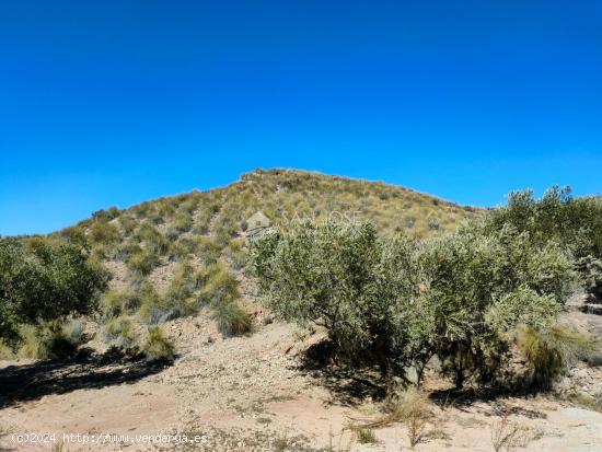 SE VENDE PARCELAMUY CERCA DEL PUEBLO DE MACISVENDA - MURCIA