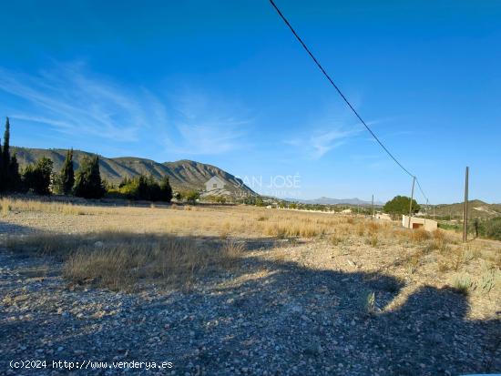 SE VENDE PARCELA RUSTICA EN HONDON DE LAS NIEVES ZONA LA SOLANA - ALICANTE