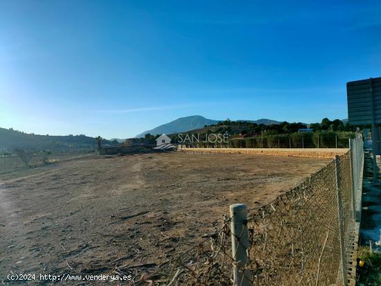 SE ALQUILA PARCELA RUSTICA EN HONDON DE LAS NIEVES - ALICANTE