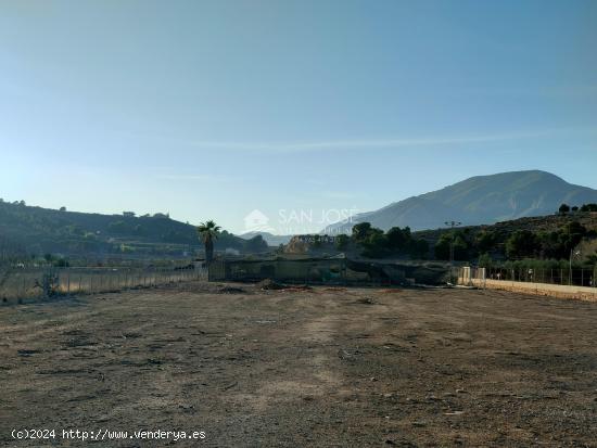 SE ALQUILA PARCELA RUSTICA EN HONDON DE LAS NIEVES - ALICANTE