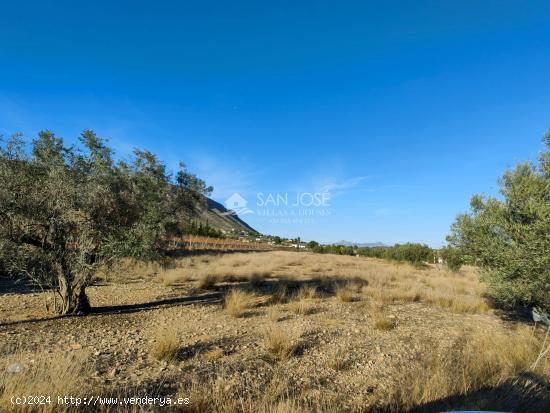 SE VENDE PARCELA RUSTICA EN HONDON DE LOS FRAILES ZONA LA SOLANA - ALICANTE