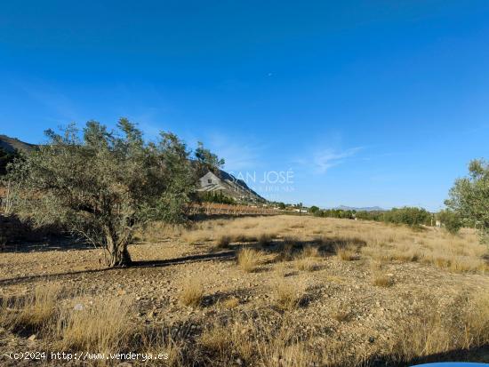 SE VENDE PARCELA RUSTICA EN HONDON DE LOS FRAILES ZONA LA SOLANA - ALICANTE