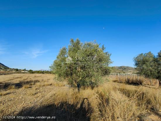 SE VENDE PARCELA RUSTICA EN HONDON DE LOS FRAILES ZONA LA SOLANA - ALICANTE