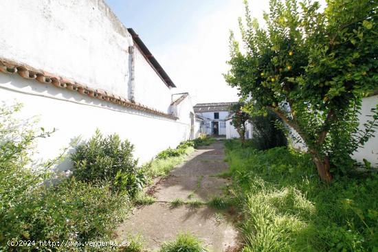 Casa céntrica en Puebla de la Calzada, con salida a dos calles. - BADAJOZ