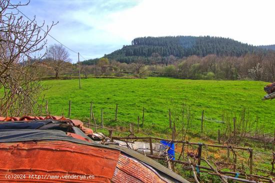 TERRENO RUSTICO EN BALMASEDA - VIZCAYA