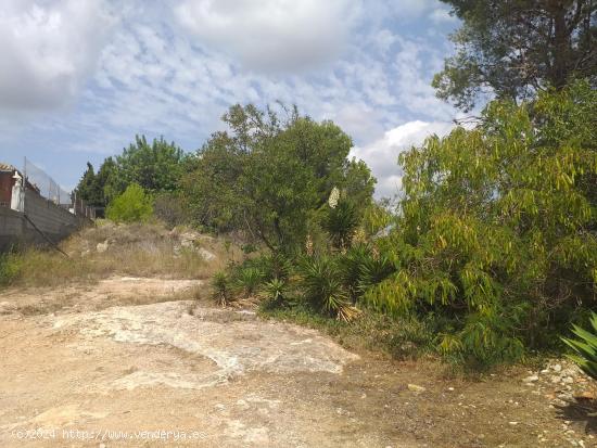 PARCELA EN CATADAU - VALENCIA