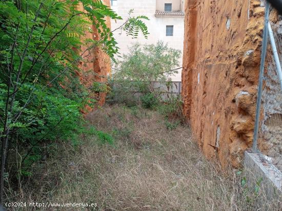 Parcela a la venta en Santa Faz. - ALICANTE