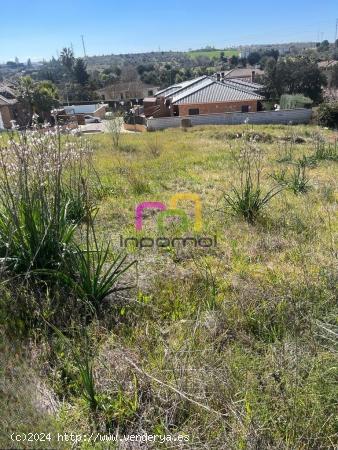 ESTUPENDA PARCELA EN LAS VAGUADAS!! - BADAJOZ