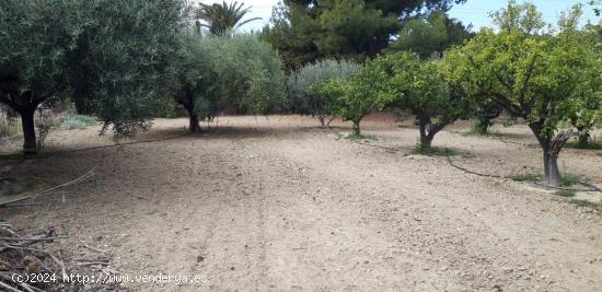  Suelo Urbano en Busot. Alicante - ALICANTE 