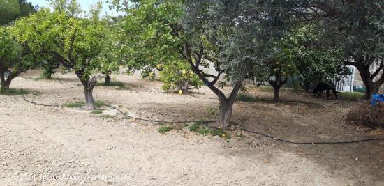 Suelo Urbano en Busot. Alicante - ALICANTE