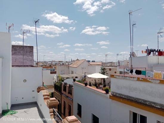  Calle Azafran Piso con Posibilidad de Magnifico Garaje para coche y Moto. - SEVILLA 