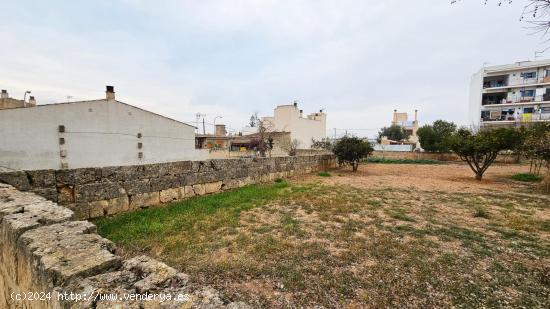 Solar urbano en S'Aranjassa, Palma - BALEARES