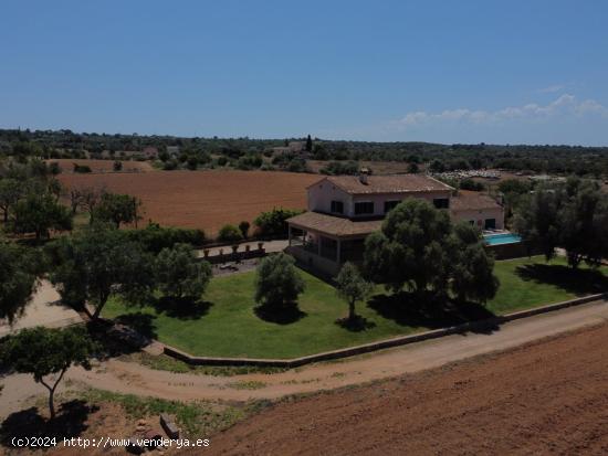 La casa del  sí  - BALEARES