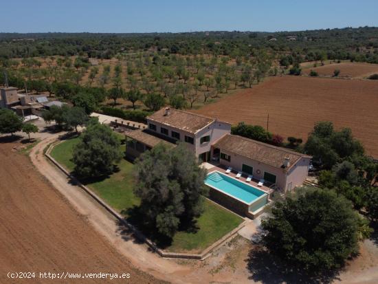 La casa del  sí  - BALEARES