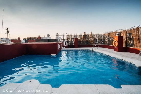 Duplex con licencia turística en la Judería y piscina - SEVILLA